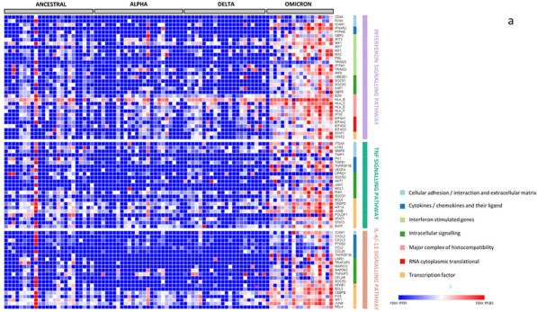 Figure 1 (abstract FC-251)