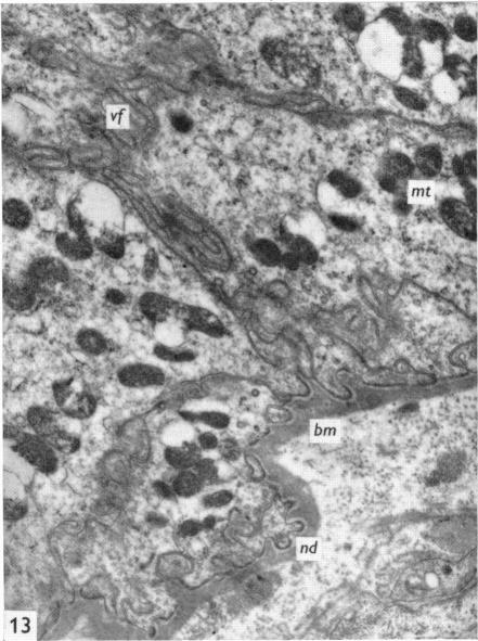 Fig. 13