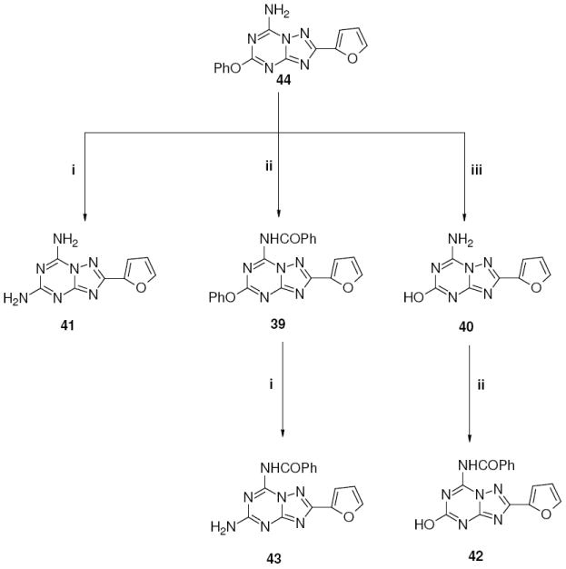 Scheme 3