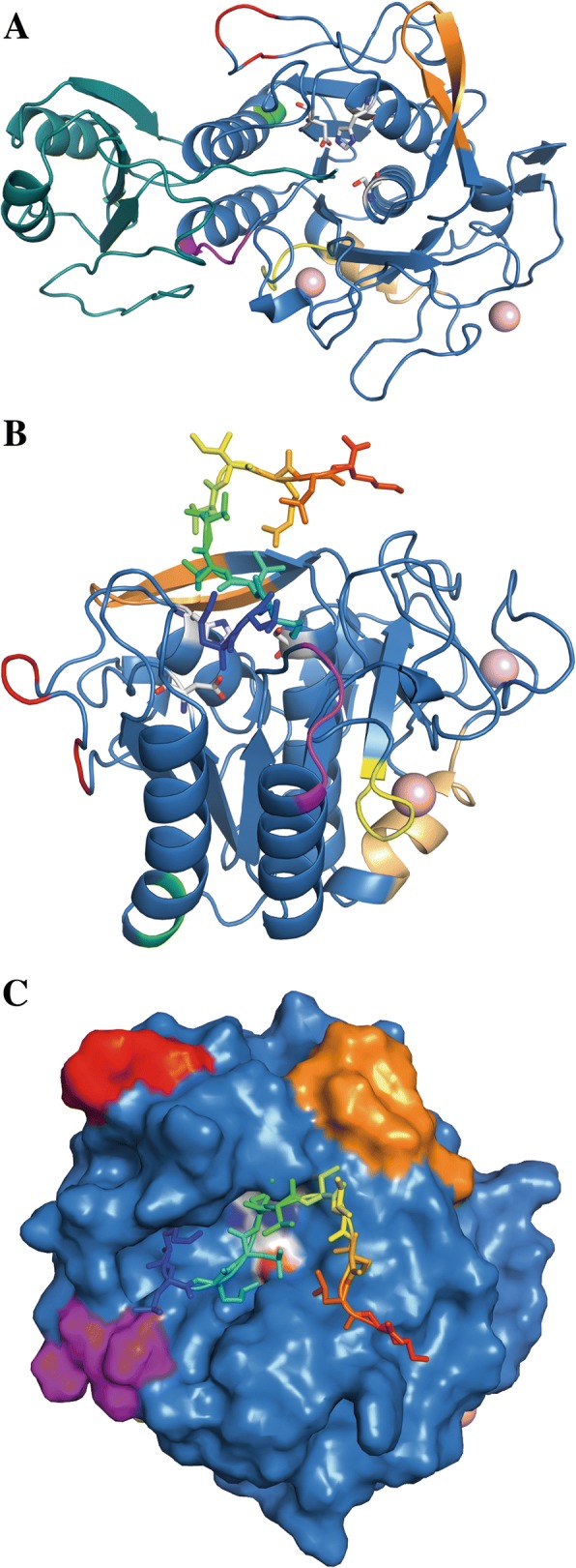 Fig. 6