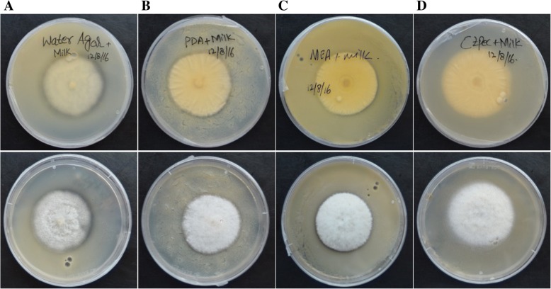 Fig. 7