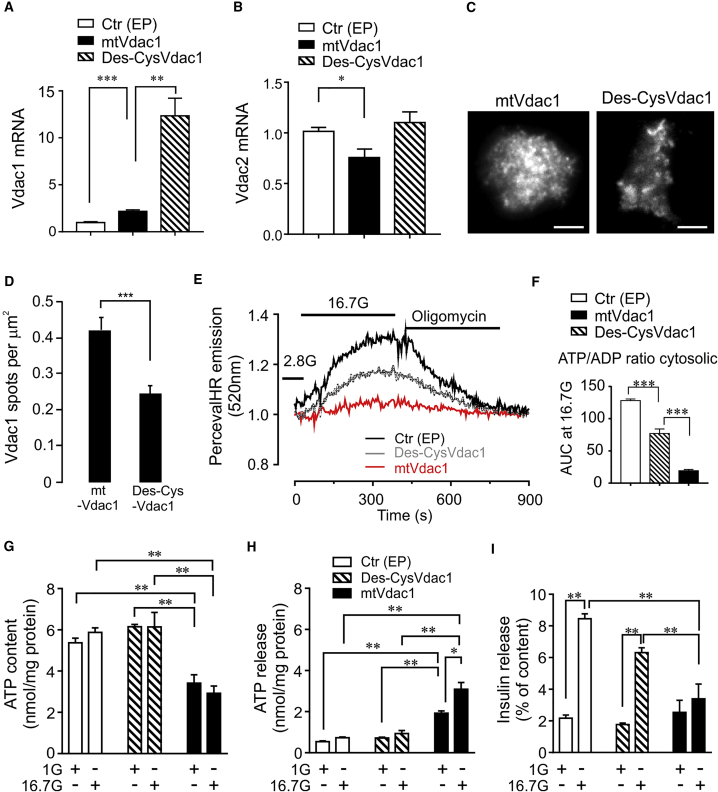 Figure 6