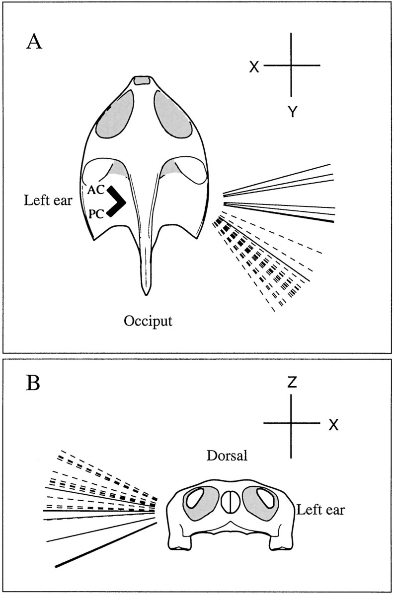 Fig. 9.