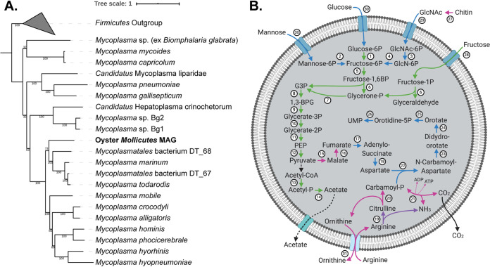 FIG 3