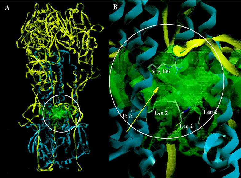 FIG. 10