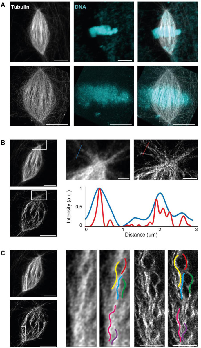 FIGURE 3: