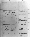 1942