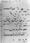 1940