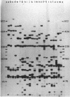 1941