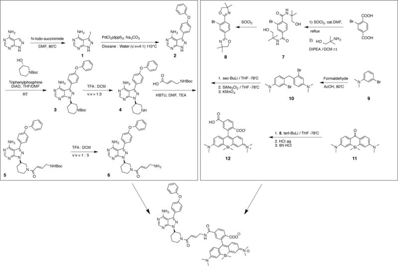 Scheme 1