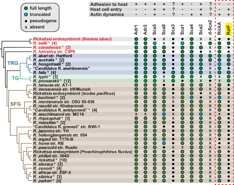 FIG 6