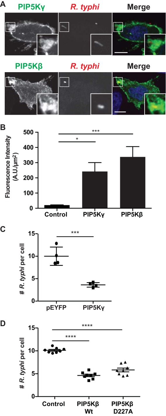 FIG 4