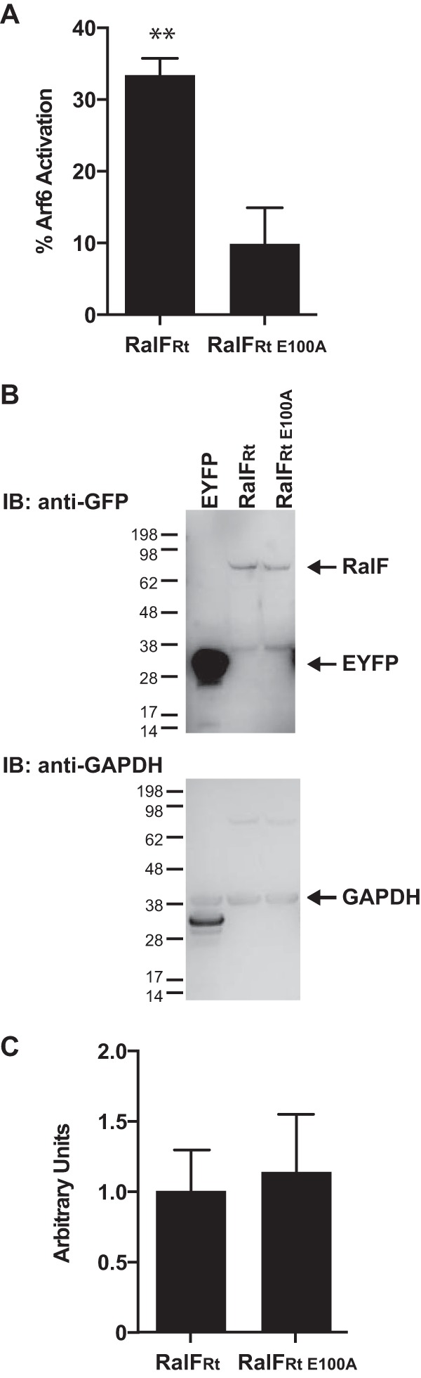 FIG 1