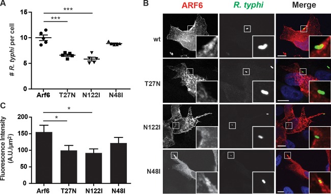 FIG 3