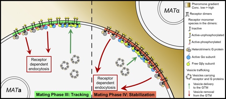 Figure 10.