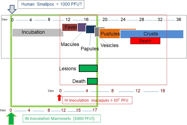 Fig 10