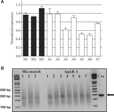 Figure 4.