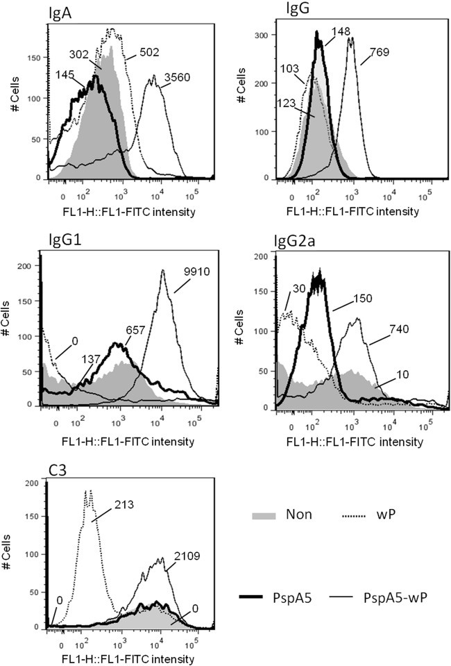 Fig 8