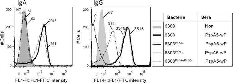 Fig 9