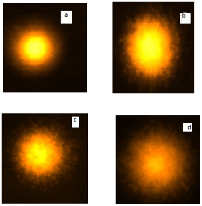 Figure 10