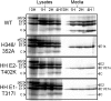 FIG 3