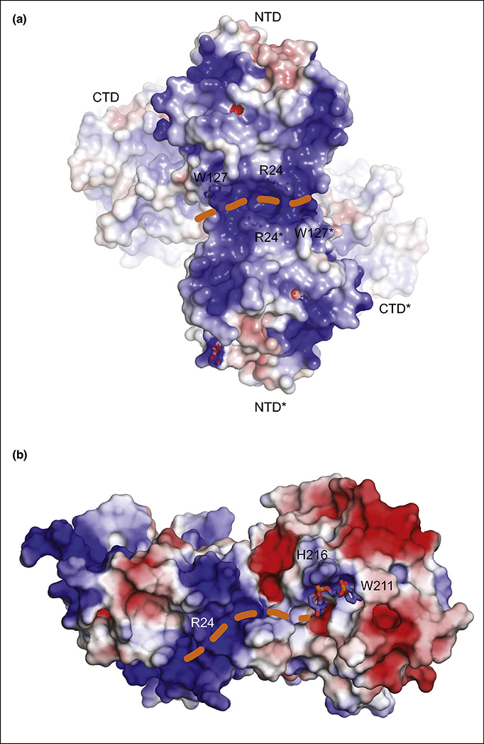 Figure 4: