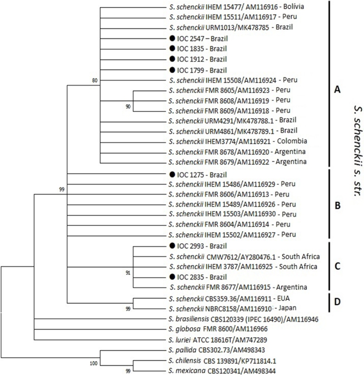 Fig. 4