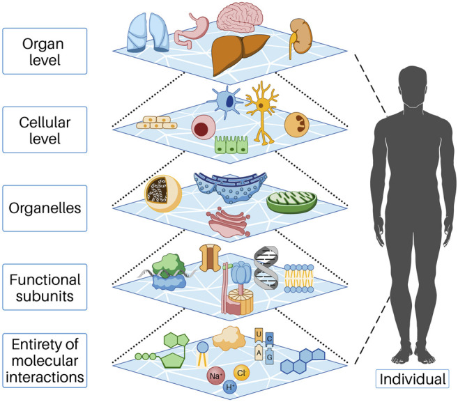 FIGURE 1