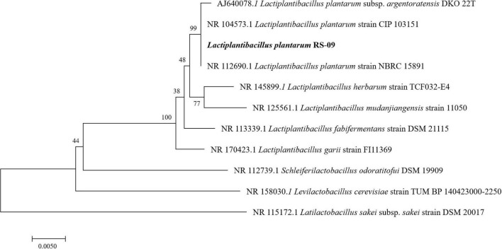 FIGURE 1