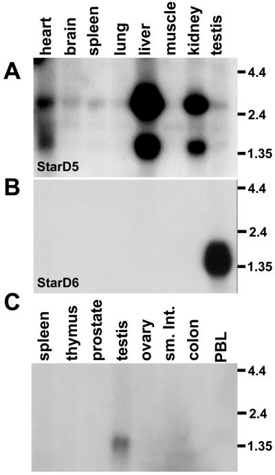 Figure 5