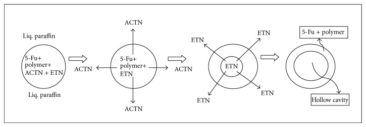 Figure 8