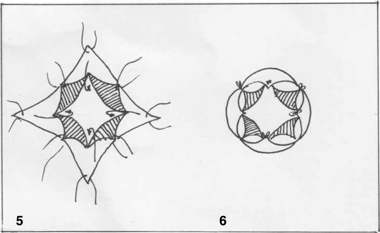 Fig. 3