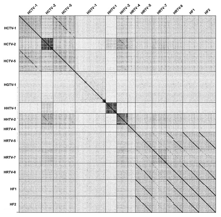 graphic file with name rna-10-803-g1.jpg