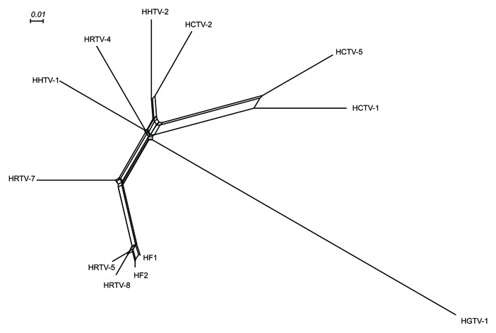 graphic file with name rna-10-803-g2.jpg