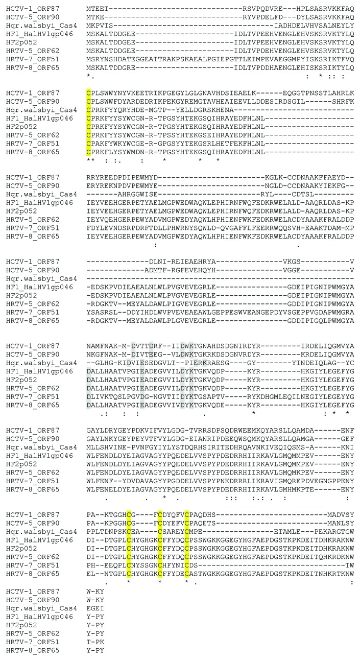 graphic file with name rna-10-803-g7.jpg