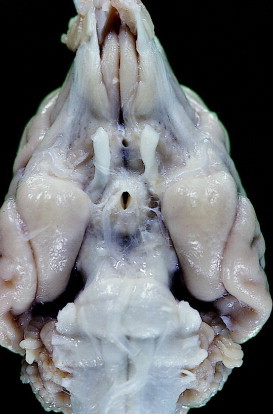 Figure 12-29