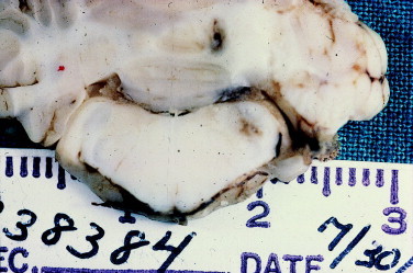 Figure 12-20