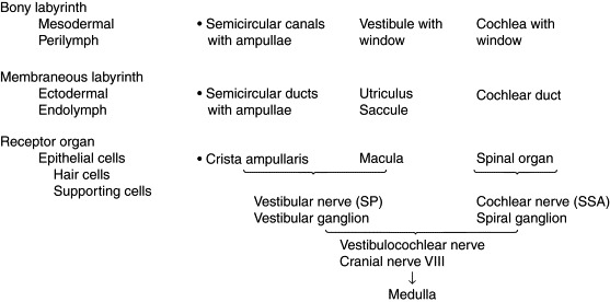 Figure 12-1