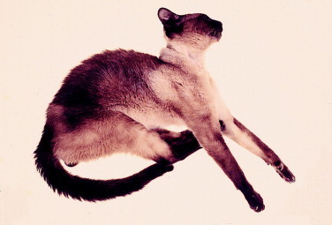 Figure 12-21
