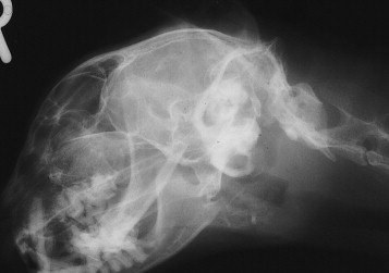 Figure 12-15