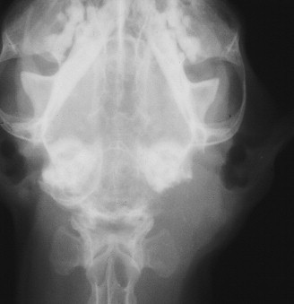 Figure 12-16