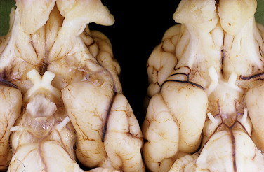 Figure 12-27