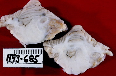Figure 12-13