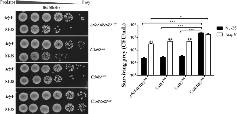 Figure 4