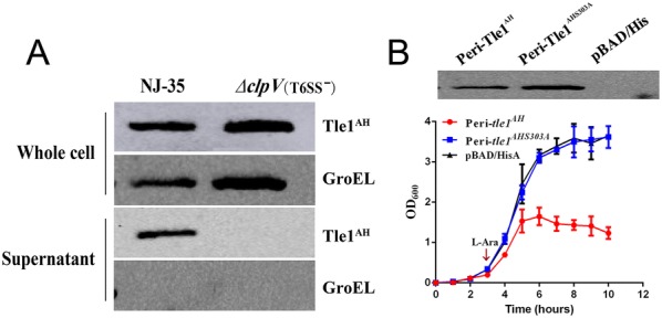 Figure 3