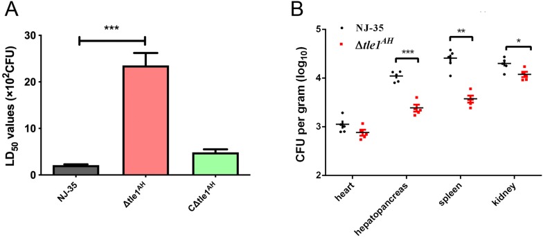 Figure 6