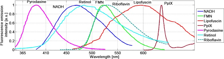 Fig. 4