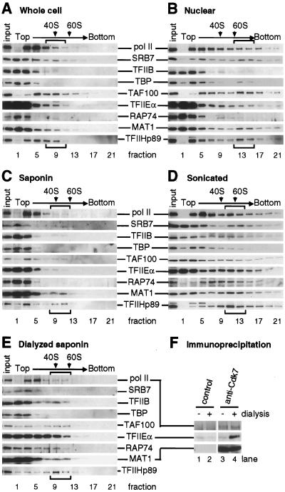 FIG. 5