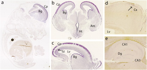 Figure 3