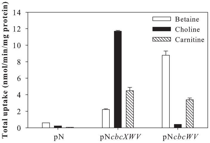 Fig. 5